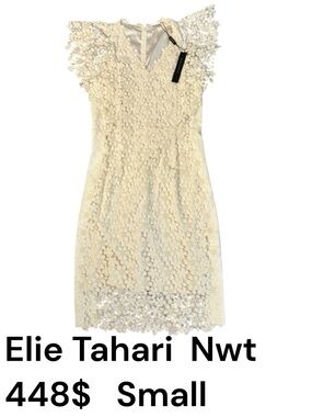 Elie Tahari Morgan dress,Sm,winter white/light cream,crochet,sheer,lined,event